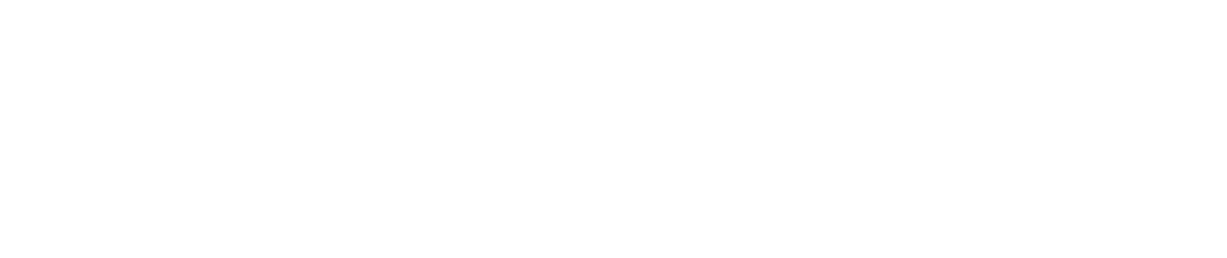 DynamicPricing.AI